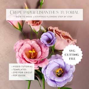 Crepe paper lisianthus flower template, pdf guide tutorial, paper flower pattern, svg for cricut, video tutorial, how to make, diy tutorial