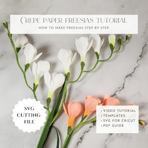 Modello di fresia in carta crespa, tutorial sui fiori di carta in formato PDF, come realizzare fiori di carta, svg per cricut, fiori di carta fai da te, PDF stampabile
