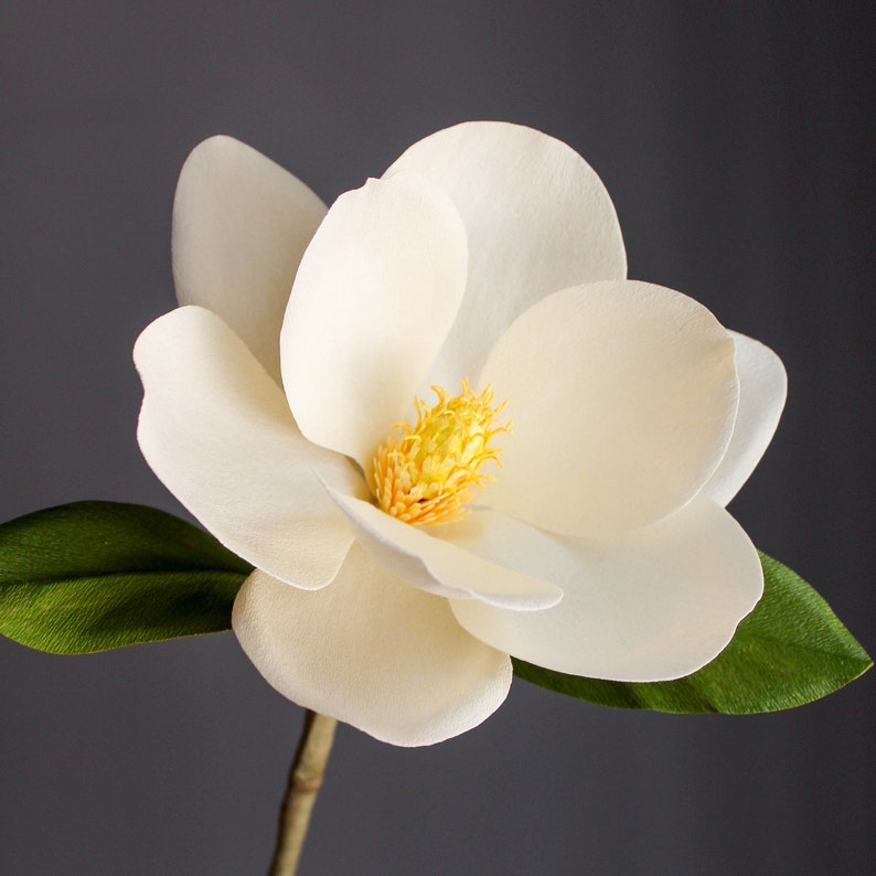 Crepe paper flowers magnolia stems, realistic paper flowers, paper magnolia flower gift, southern magnolia, handmade paper flowers for decor