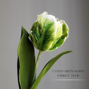 Single stem green and white crepe paper parrot tulip, realistic paper flower art.