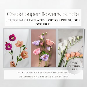 Set di tutorial per fiori di carta crespa, modelli di fiori di carta, file svg cricut, come realizzare fiori di carta, modello fai da te per fiori di carta crespa