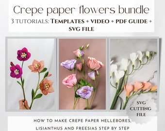Set von Anleitungen für Krepp-Papier-Blumen, Papier-Blumen-Vorlagen, Cricut-Dateien, wie man Papierblumen macht, DIY-Krepppapier-Blumenmuster