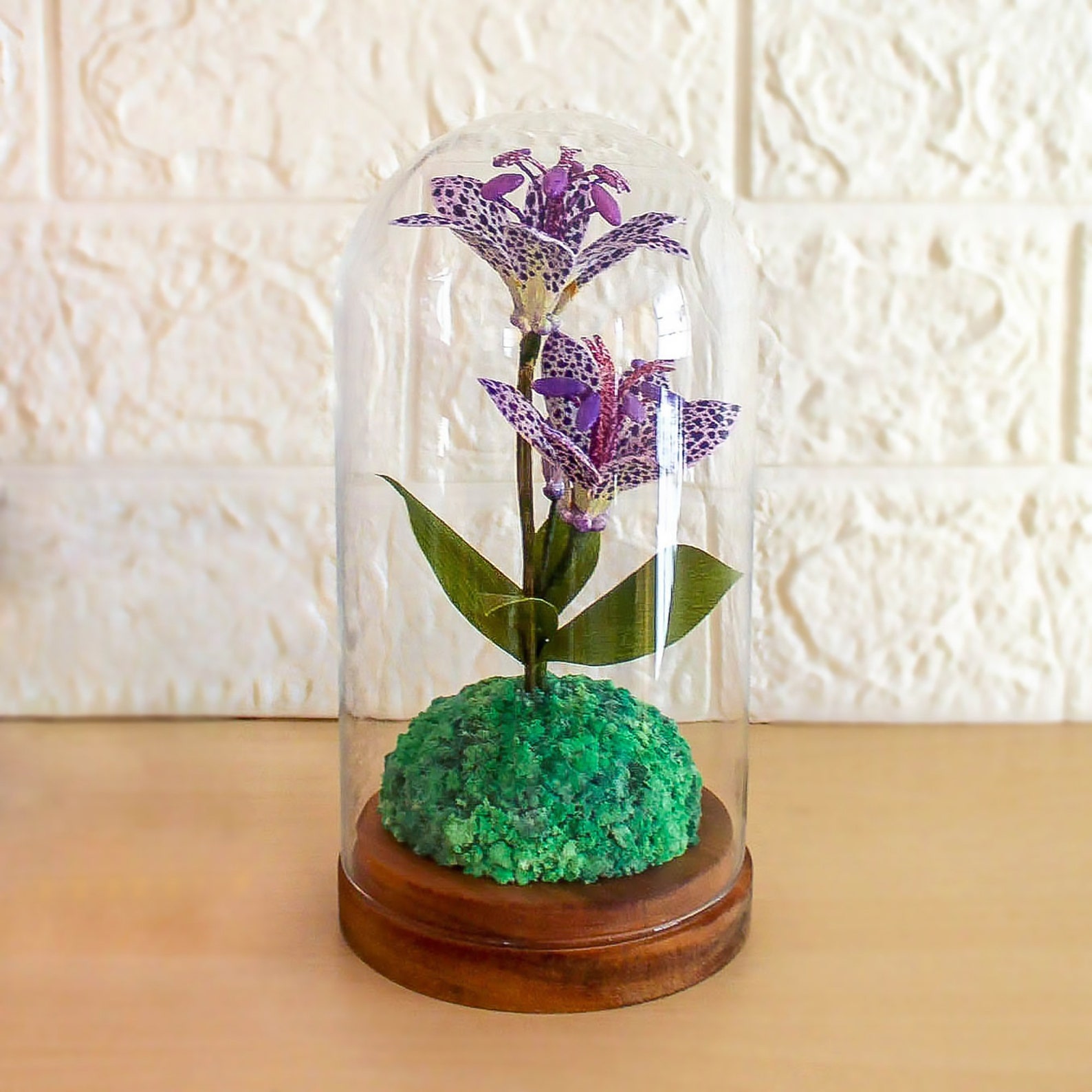 Flower Glass Dome Flower Display Decor Glass Dome Flower Etsy