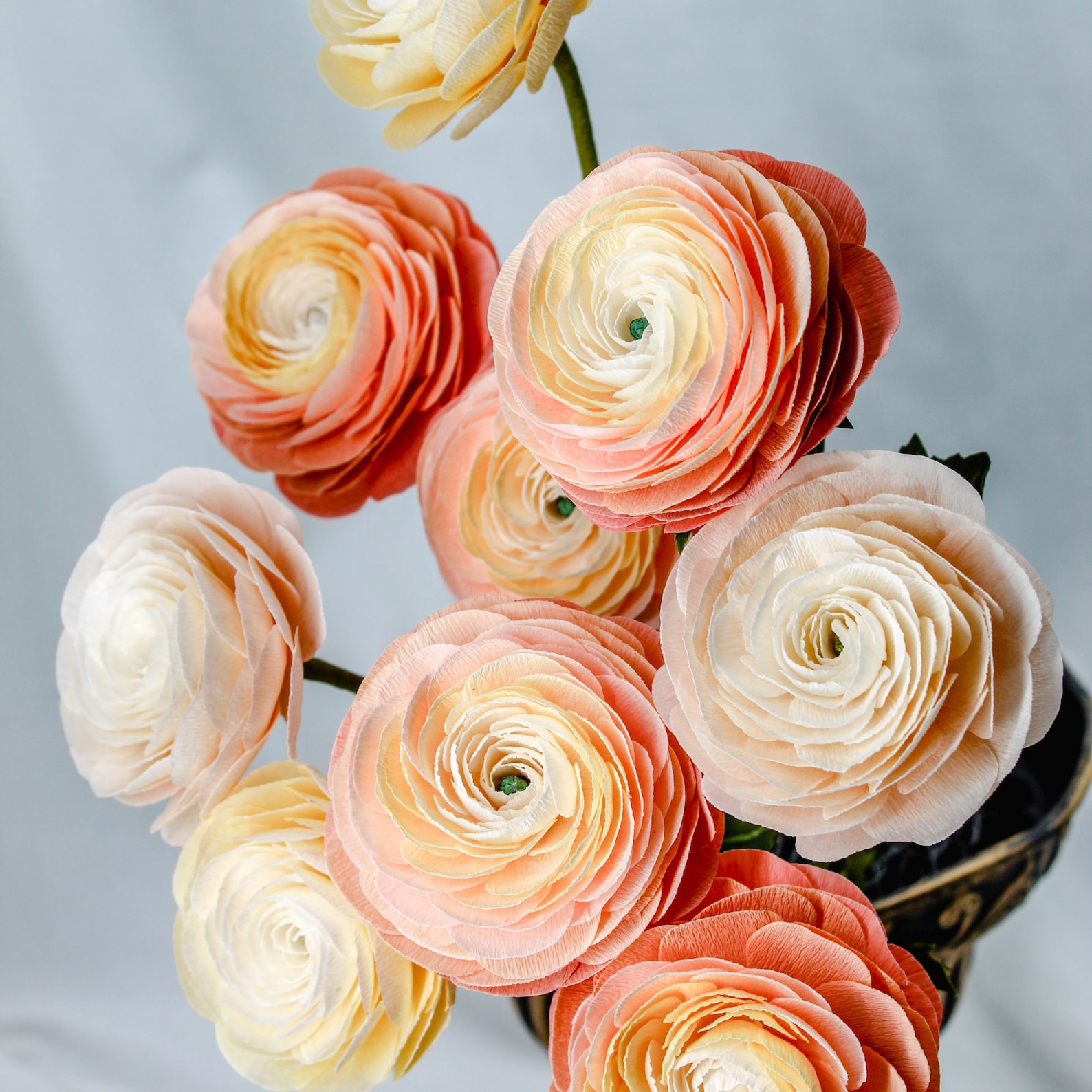 Crepe Paper Ranunculus Template Pdf Paper Flower Tutorials Etsy