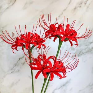 Fleur de lys araignée en papier crêpe réaliste faite main, ikebana japonais, fleur en papier pour bouquets de mariage, décoration intérieure, cadeau d'anniversaire en papier