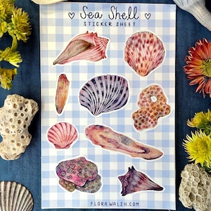 Hand Painted Seashell Sticker Sheet Cute Beach Stickers for Journals Planners Scrapbooks Vintage Coastal Mixed Media Art Stickers