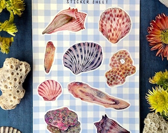Hand Painted Seashell Sticker Sheet Cute Beach Stickers for Journals Planners Scrapbooks Vintage Coastal Mixed Media Art Stickers