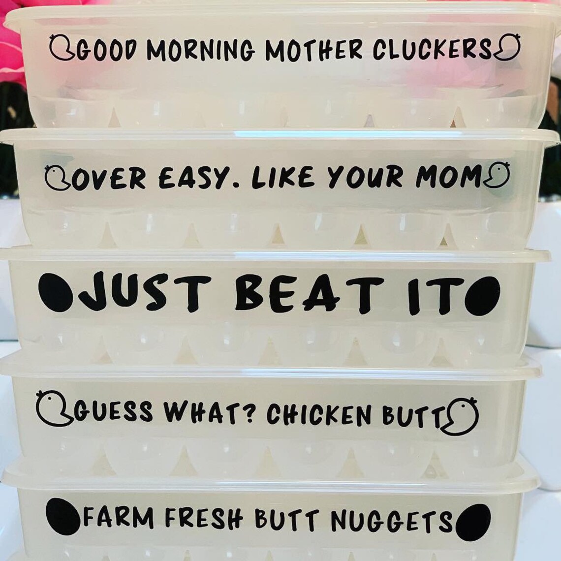 Plastic Reusable Egg Carton With Funny Sayings Etsy