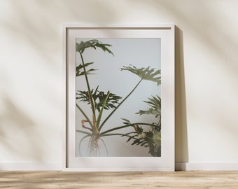 House Plants Print - Fine Art Photography - Printable Wall Art - Plant Photo Print - Tropical Leaves - Botanical - Instant Download