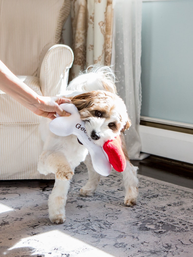 Personalized Dog Bone Toy With Squeaker and Detachable Etsy