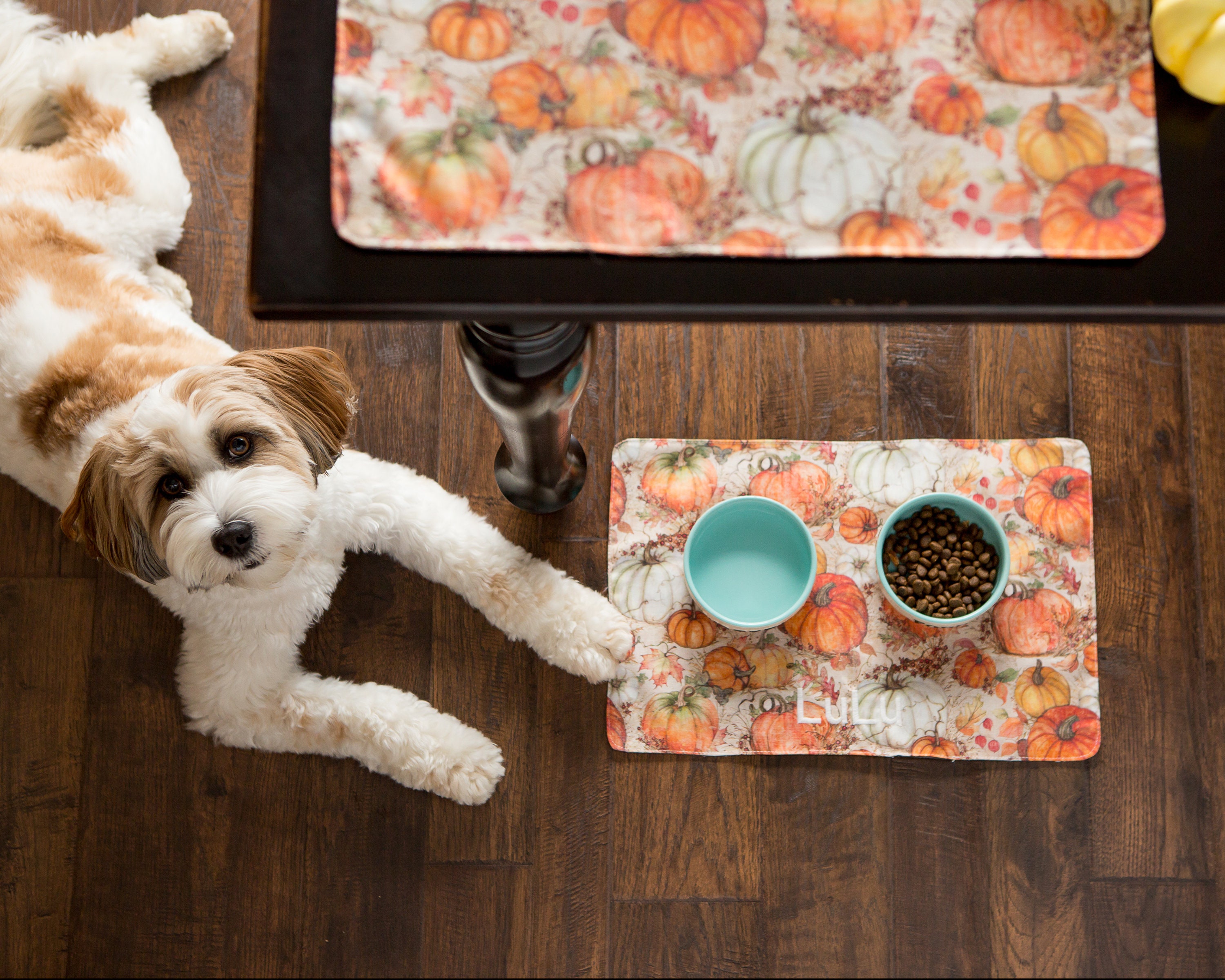 Personalized Pet Placemat w/matching human placemat/dog food Etsy