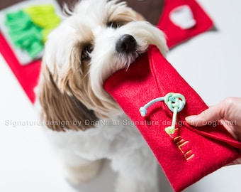 Lucky money snuffle envelope dog toy, interactive pet toy, Lunar New Year enrichment toy, Hong Bao dog toy, red envelope, Handmade in USA