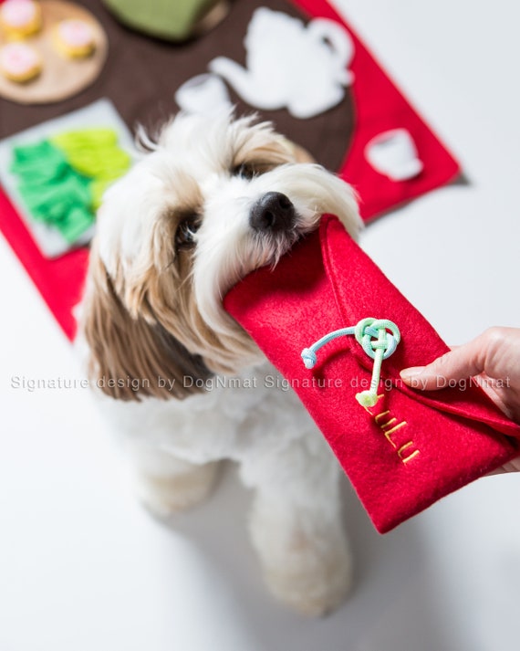 Nova Concepts Pty Ltd - 4 Fun Games With Dog Treats