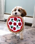 Personalized Pizza Dog toys. frisbee, fetch,dog toy, Snuffle Mat, Dog Gift, Agility Training, Interactive, Sniff and Seek toy, Pet nose work