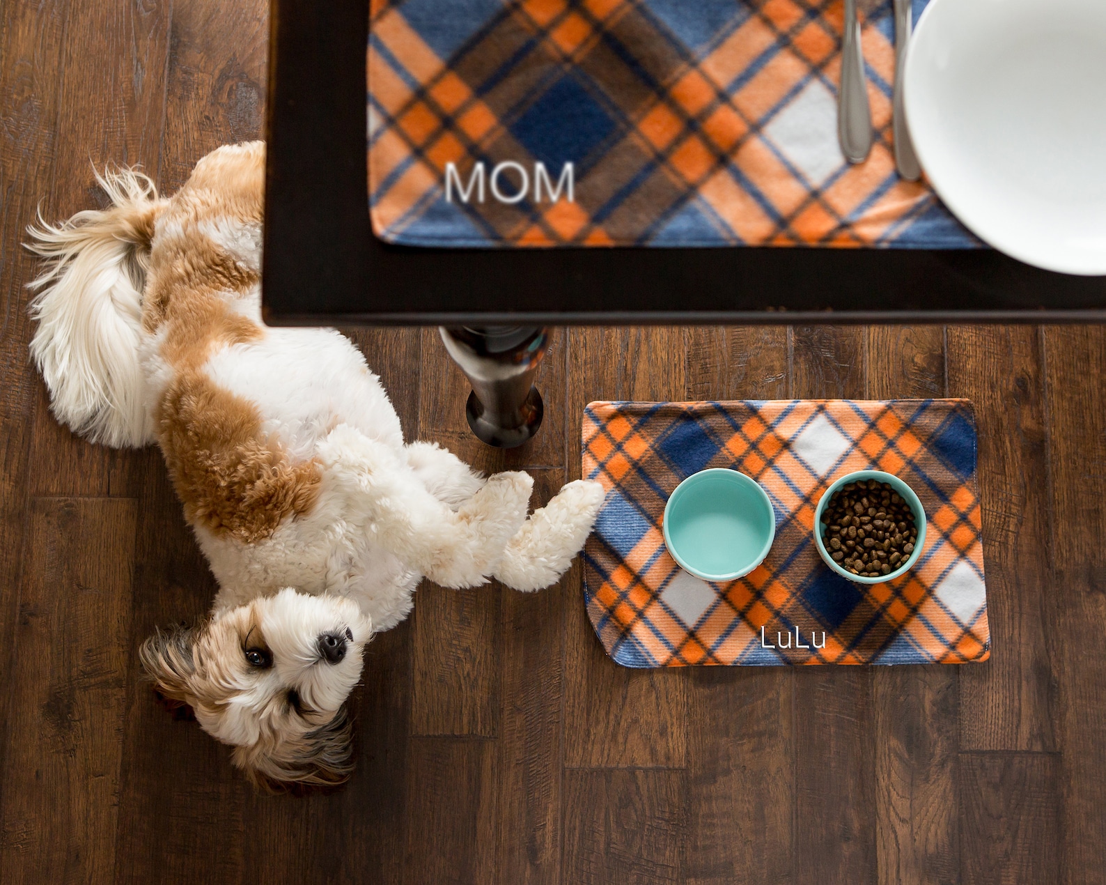 Personalized Pet Placemat W/matching Placemat for Human/dog Etsy