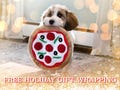 Personalized Pizza Dog toys. frisbee, fetch,dog toy, Snuffle Mat, Dog Gift, Agility Training, Interactive, Sniff and Seek toy, Pet nose work