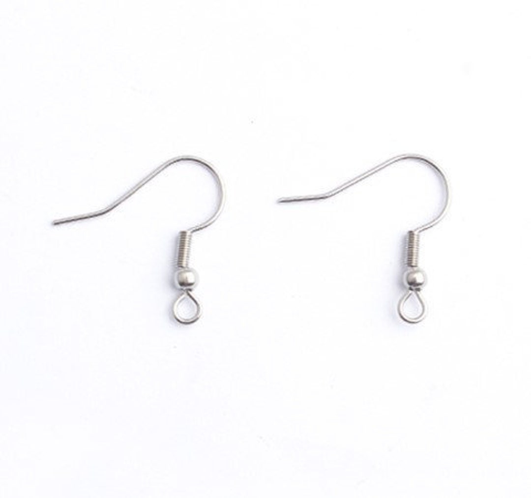 Silver Earring Hooks 10 Pairs. Gold Earring Hooks Earrings Hooks Ear Wire  Stainless Steel Earring Hooks Earring Hook Findings Ear Wire Hoops 
