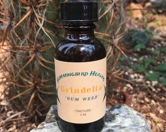 Grindelia - Gum Weed - Tincture