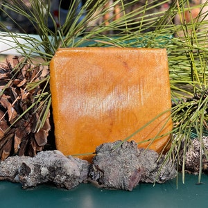Ponderosa Pine Sap/ Resin