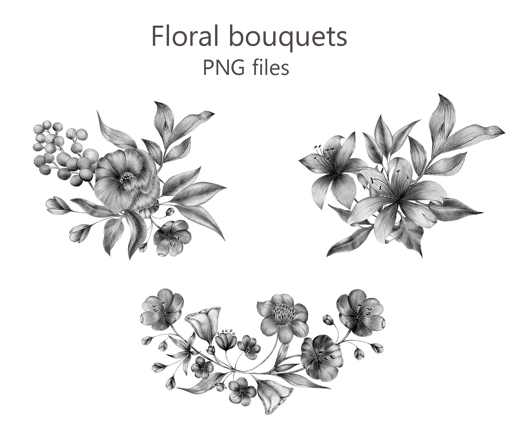 Pencil Floral Clipart, Hand Drawn Pencil Sketched, Floral Line Art