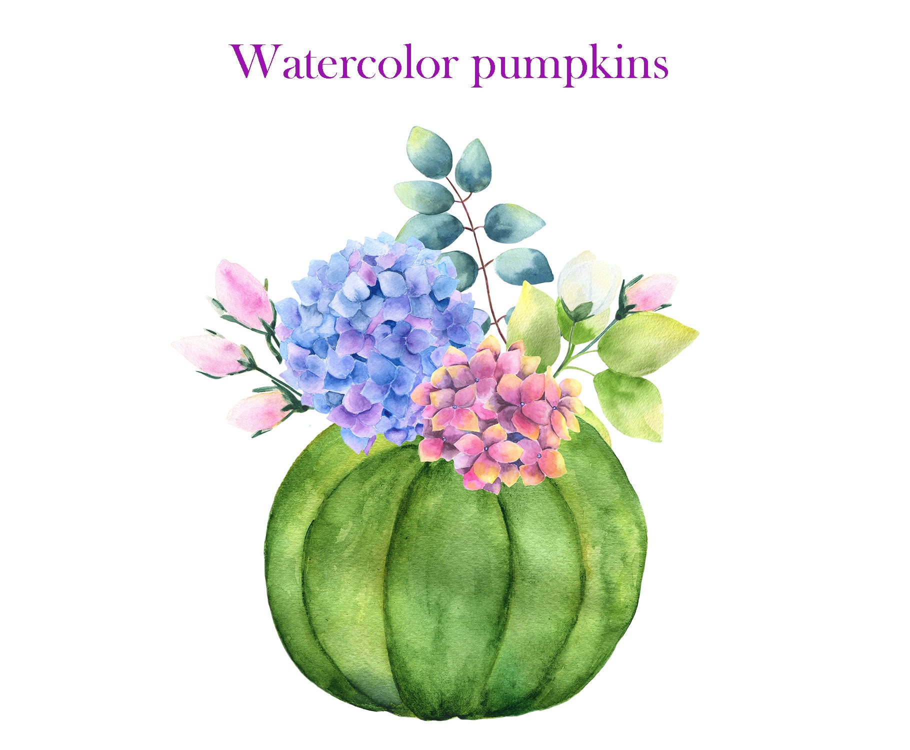 Watercolor Autumn Pumpkin Png Clipart. Pumpkins Clipart - Etsy