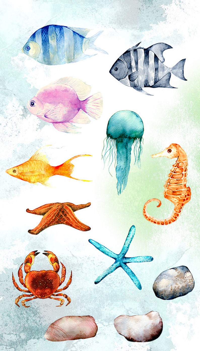 Watercolor sea life clipart ocean clip art PNG | Etsy