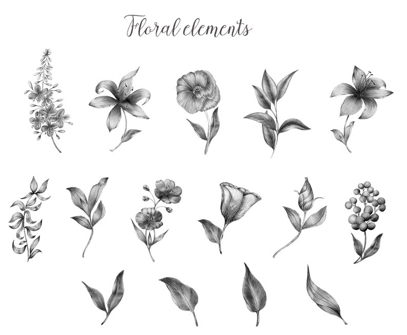 Pencil Floral Clipart, Hand Drawn Pencil Sketched, Floral Line Art