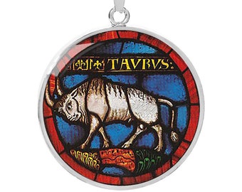 Taurus Zodiac Sign Necklace, Surgical Steel Pendant