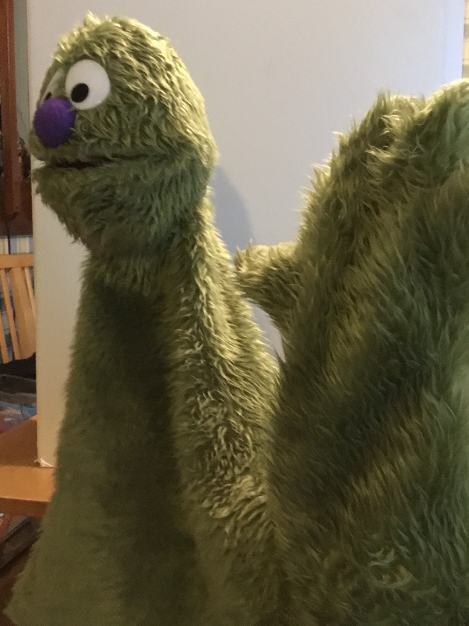 Professional Live Hand Puppet Etsy