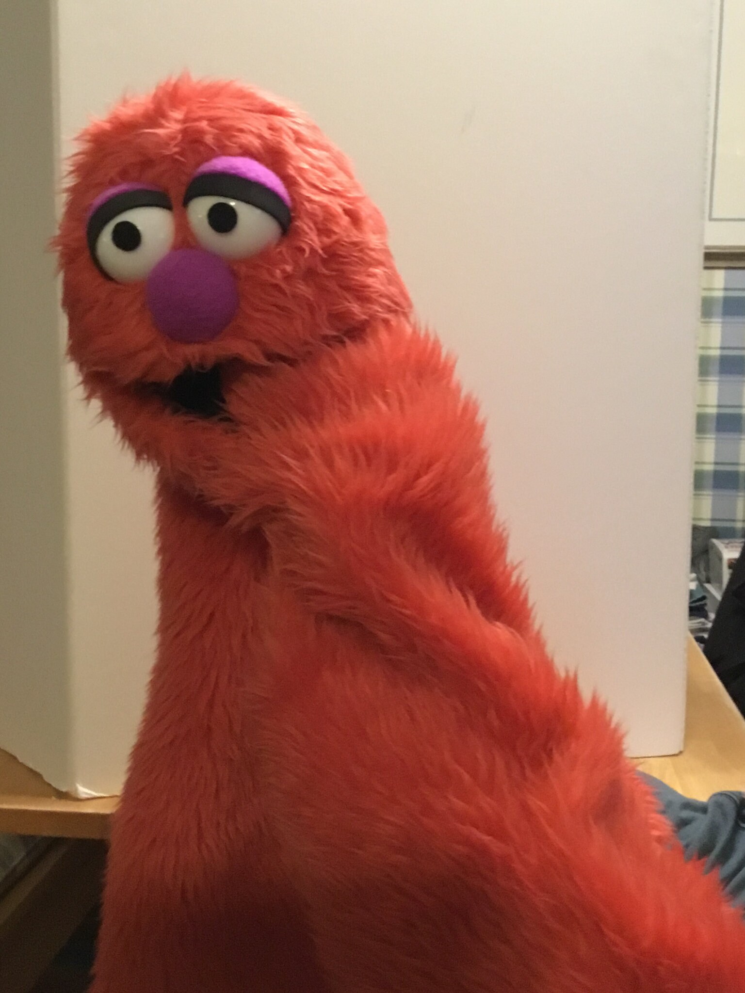 Professional Live Hand Puppet Etsy