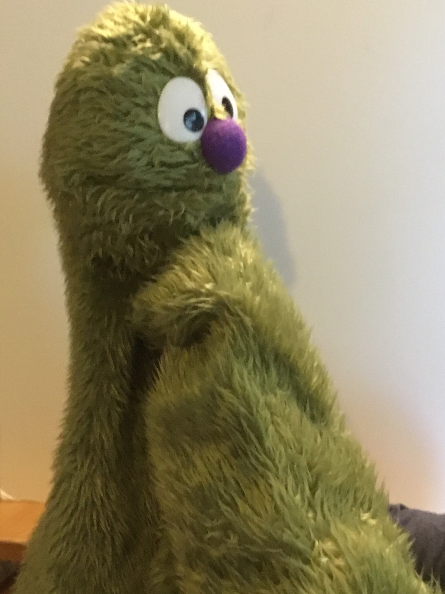 Professional Live Hand Puppet Etsy