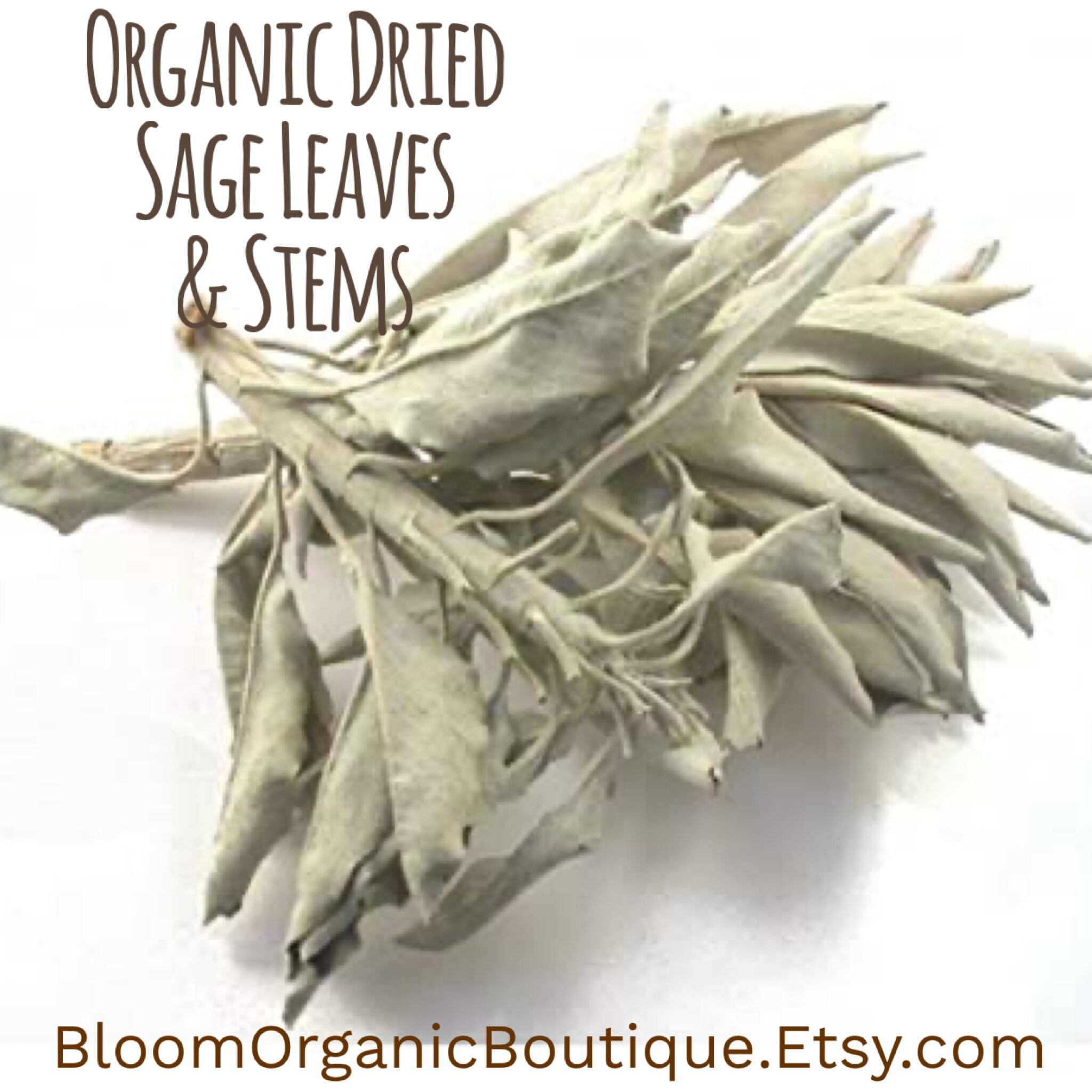 Organic White Dried Sage Leaves Sage Leaves & Stems Etsy