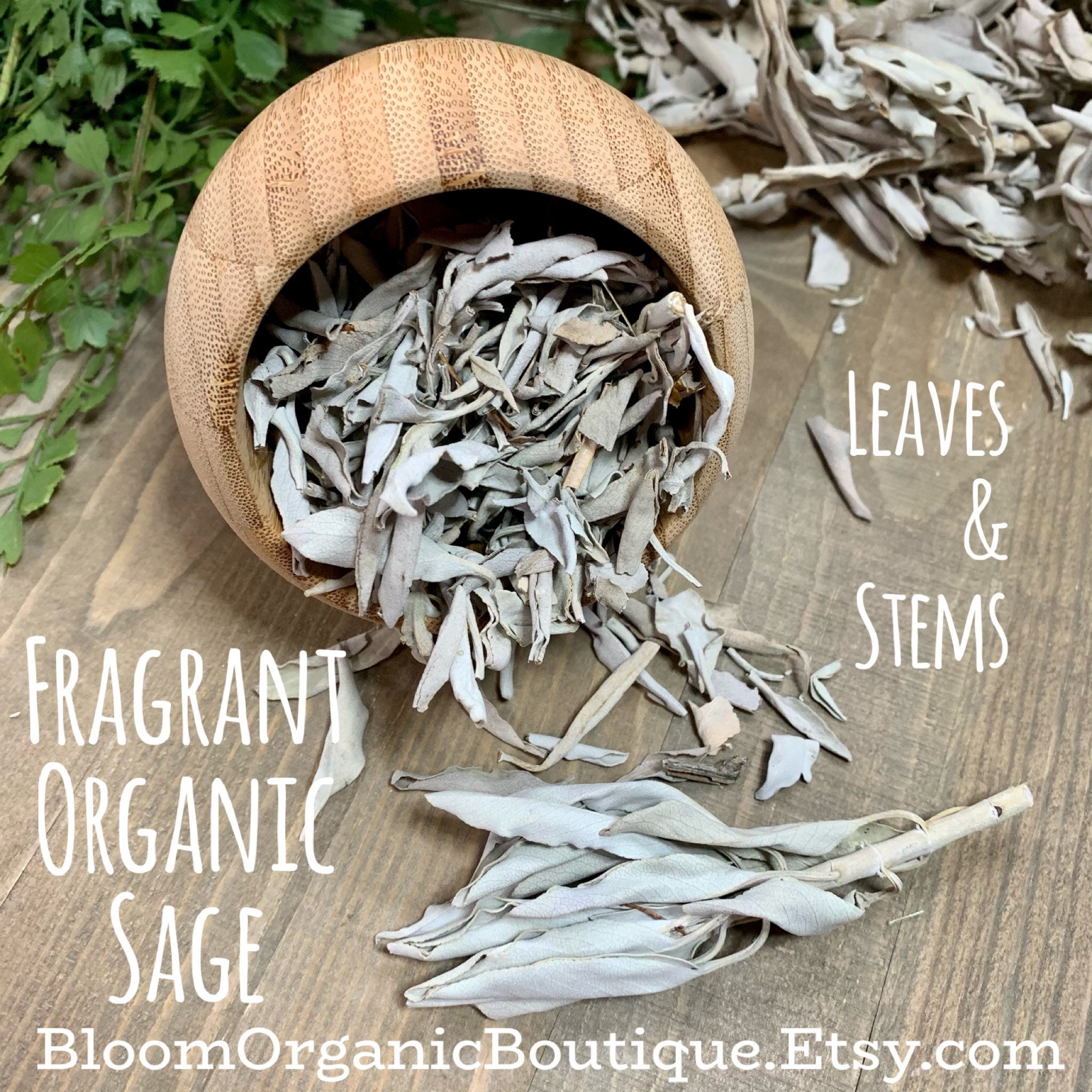 Organic White Dried Sage Leaves Sage Leaves & Stems Etsy