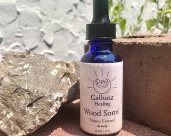 Yellow Wood Sorrel With Photos Etsy Yellow Wood Sorrel With Photos Etsy