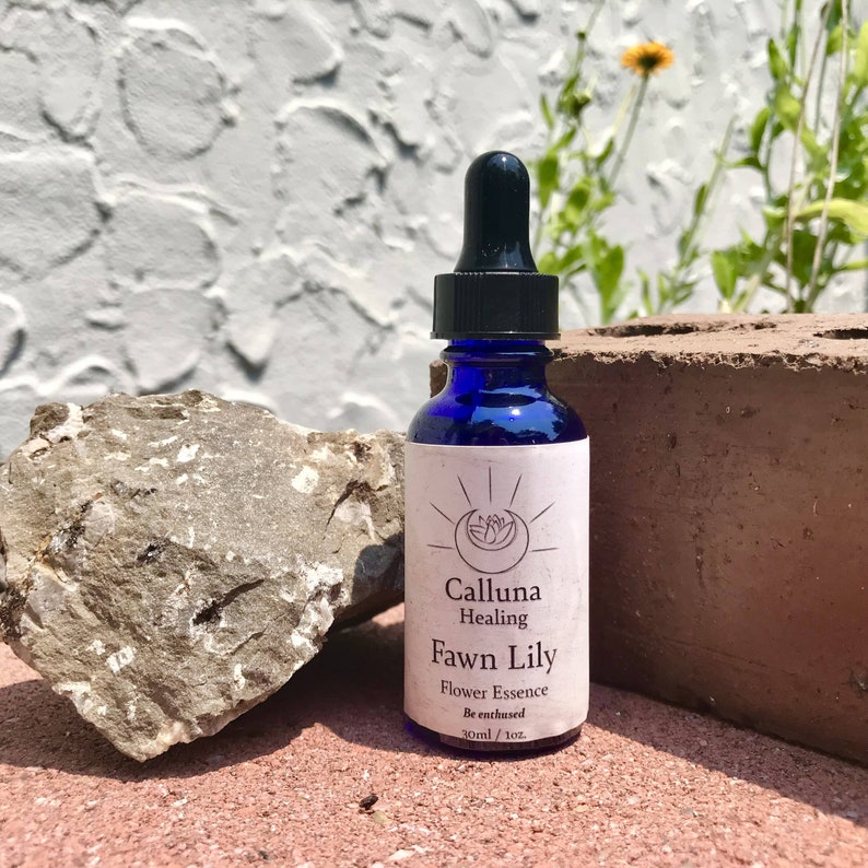 Yellow Fawn Lily // Flower Essence // Energetic Healing Etsy