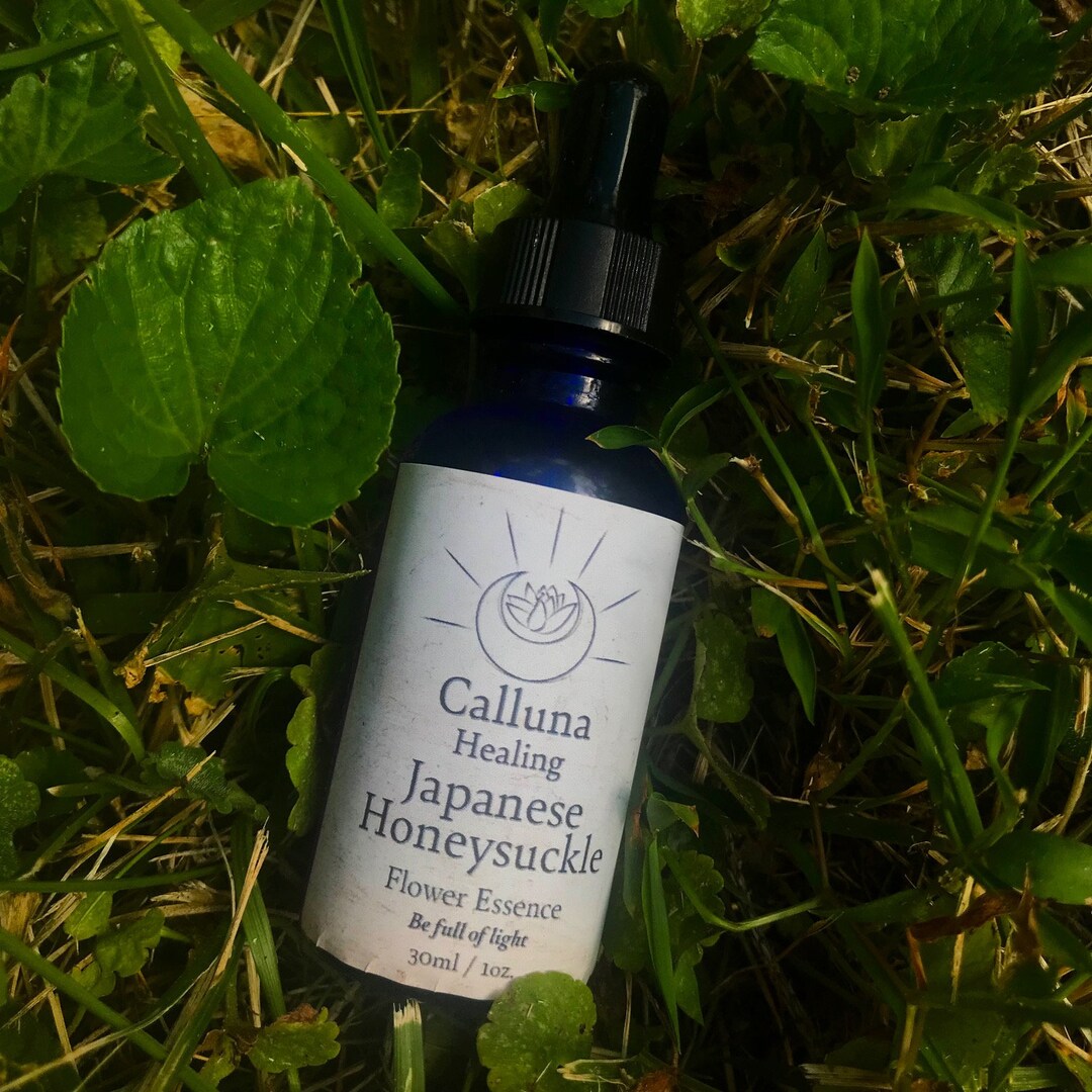 Japanese Honeysuckle // Flower Essence // Energetic Healing Etsy