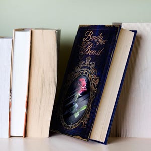 May include: A hardback book titled Beauty and the Beast with a dark blue cover featuring a gold ornate frame and a red rose illustration. The book is positioned among several other books with plain white and beige pages, standing upright.