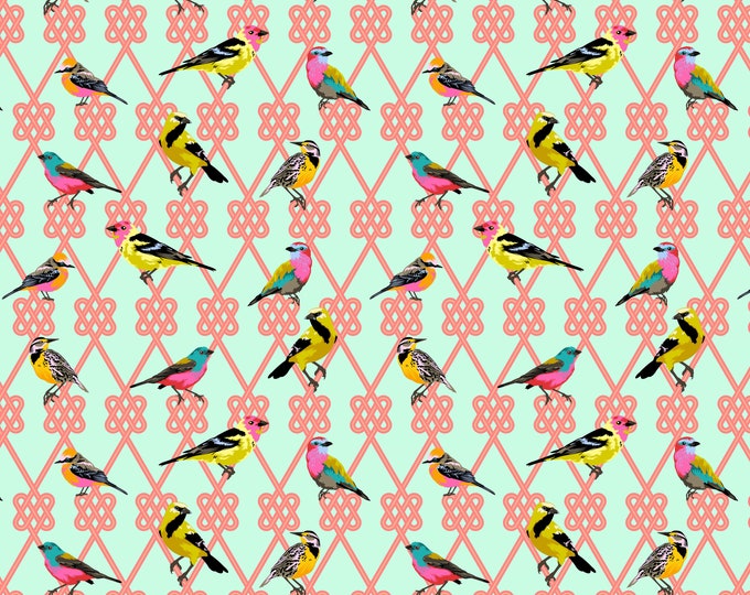 In a Finch - Dawn - Moon Garden - Tula Pink - FreeSpirit Fabrics - 100% Cotton - PWPT198.DAWN
