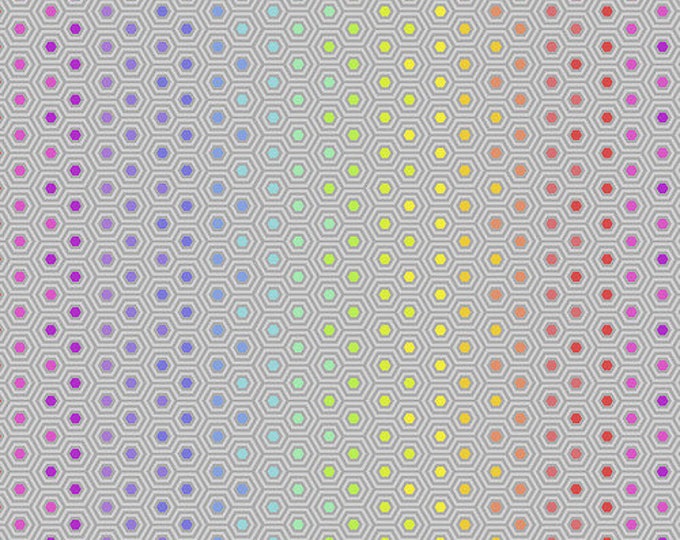 Tula Pink - Hexy Rainbow - Dove - True Colors