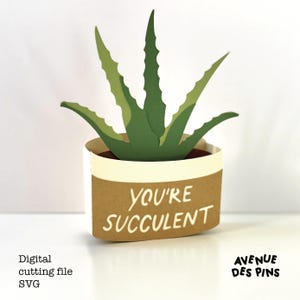 Succulent Pop-Up Card SVG for Cricut | Birthday, Thank You, Mother's Day Greeting
