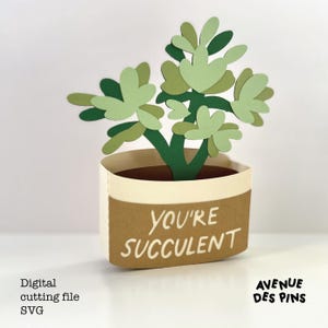 Succulent Pop-Up Card SVG for Cricut | Birthday, Thank You, Mother's Day Greeting