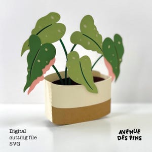 Indoor Plant Pop-Up Card SVG for Cricut | Birthday, Thank You, Housewarming Greeting