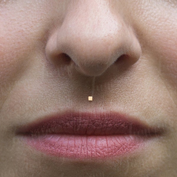 Piercing Philtrum. Méduse Labret. Bijoux de perçage Monroe. Anneau à lèvres Stud. Boucle d’oreille Labret Stud. Labret fileté en interne. Boucle d’oreille à lèvres.