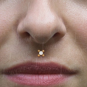 Philtrum-Piercing. Medusa Labret. Monroe-Piercing-Schmuck. Lippenring-Ohrstecker. Labret-Ohrstecker. Labret mit Innengewinde. Lippenohrring.