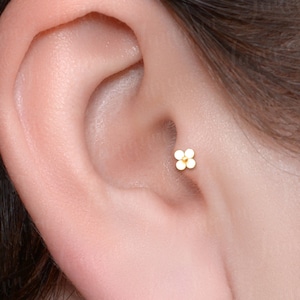 Tragus Earring. Flat Back Cartilage Earring Surgical Steel. Labret Stud. Forward Helix Earring Gold. Conch Ring. Internally Threaded Tragus.