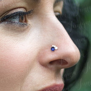 Neus Stud. Chirurgisch stalen neusknop. Neusring Stud. Neus sieraden. Neus piercing Stud. Neusbeentje 18g. Neusschroef goud. Neus pin.