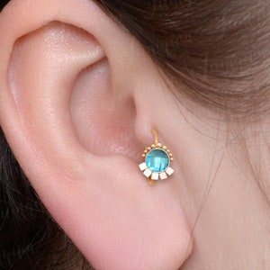 Tragus earring. Cartilage earring hoop. Forward helix earring. Conch ring. Rook earring hoop. Surgical steel cartilage hoop. Clicker hoop.