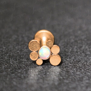 Lippenring Piercing. Labret Ohrstecker. Monroe Lippenringe. Medusa Piercing Schmuck. Lippen Piercing Ohrstecker. Philtrum Schmuck-vergoldet. Labradorit Ring.