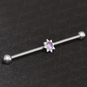 Industriële halter 14g. Industriële piercing sieraden. Steiger oorbel. Barbell-piercing. Chirurgisch stalen industriële staafoorbel.