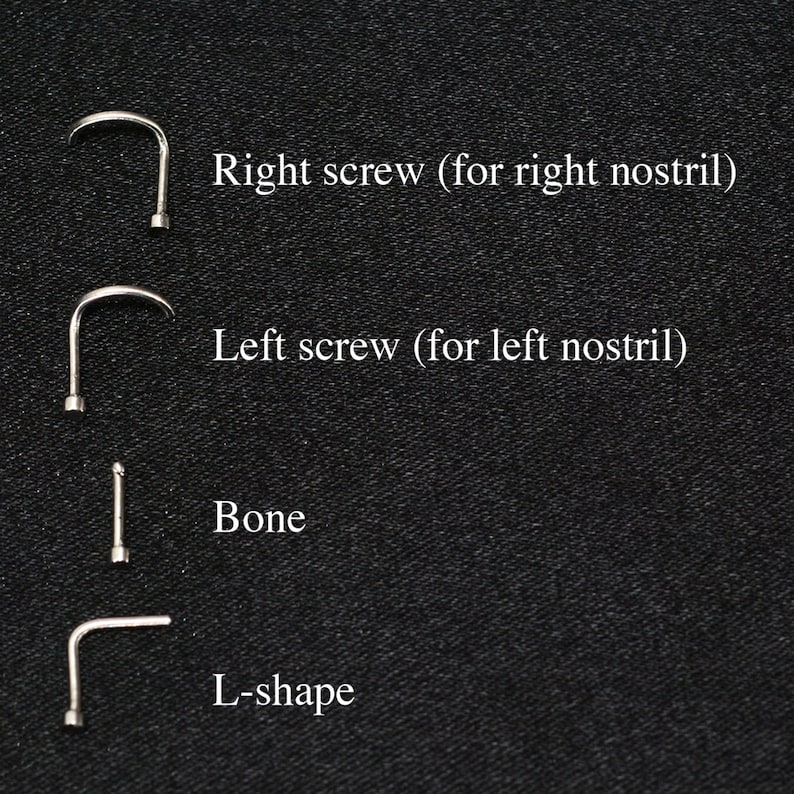 Nose Earring Nose Bone Nose Jewelry Surgical Steel Nose Ring 22g 20g 18g 16g Nose Post. Nose Piercing Nose Stud Gold Nose Screw Stud